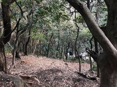 -杭州半山国家森林公园