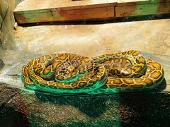 -西安秦岭野生动物园