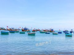 景点-美奈渔村