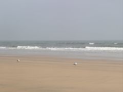 -日照海滨国家森林公园