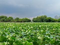 -云龙湖旅游景区