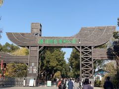 -溱湖国家湿地公园