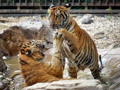 -济南野生动物世界