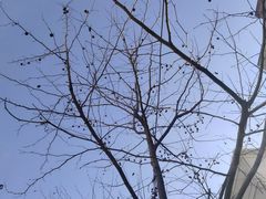 -友谊超市(友谊商城店)