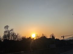 -大围山国家森林公园