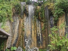 -西双版纳原始森林公园