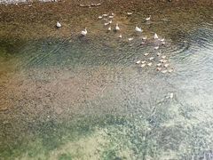 -石潭村