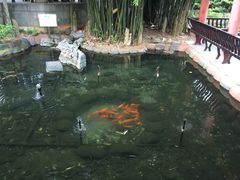 -华雅花园大酒店