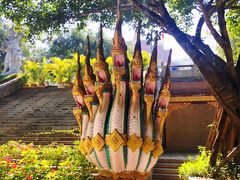 -西双版纳勐泐文化旅游区