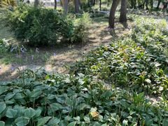 -长春市南湖公园