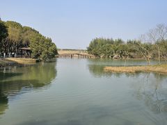 -沙家浜风景区