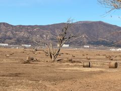 -弓二莜面(总店)