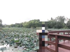 -新江湾城公园