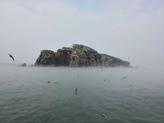 -海驴岛(荣成市)