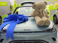 -上海浦东smart汽车全功能店(金桥店)