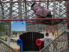 -合肥滨湖国家森林公园