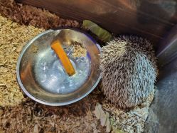 -酷嗒动物文化乐园(cutezoo西溪乐天城店)