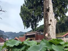 -灵光寺