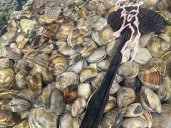 -深海聚汇·牛榴宴·自助料理(江宁万达店)