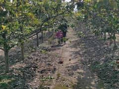 -兴芮温泉度假区