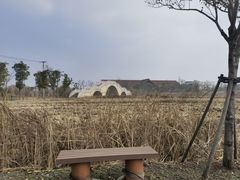 -广富林郊野公园