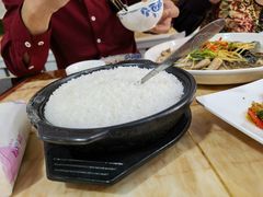煲饭-煲来饱去冷水鱼