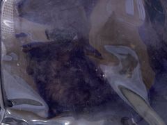 -天宠宠物医院24小时·急重症诊疗中心·全科·腔镜特色(和平分院)