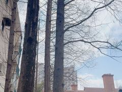 -一尺花园(安和花园店)