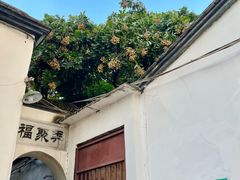 -福州开元寺