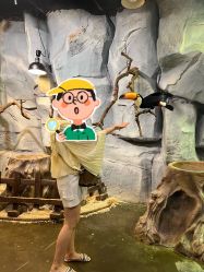 -Zoolung Zoolung动物主题公园(海信广场店)