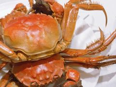鲜活大闸蟹-金马门国际美食百汇(珞喻路店)