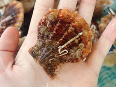 -庆山饭店·海鲜饺子家常菜(北戴河黑石路店)