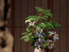 -临家小院·潮汕菜·商务宴请·点心(白石洲店)