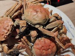 -星伦多自助料理(华润万象城店)