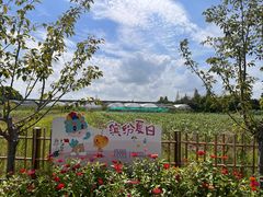 -菊园百果园