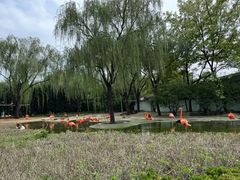 -石家庄市动物园