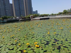 -苏州东太湖生态园