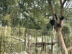 -武汉动物园