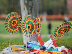 -洋湖国家湿地公园