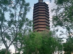 -西海子公园