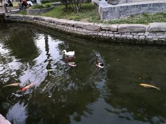 -三里河公园