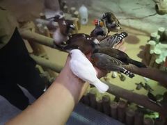 -萌宠奇缘