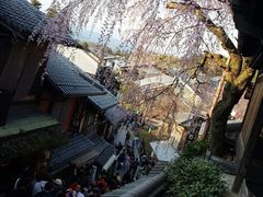 门面-醍醐寺