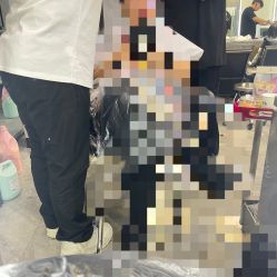 -AP•澳派设计•烫发•染发•漂发