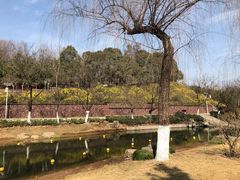 -宝鸡植物园