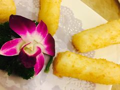 -胖太太四川麻辣排骨串(镇江路分店)