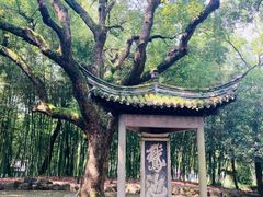 -兰亭风景区
