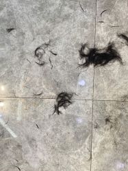 -私人定制 Hair Salon