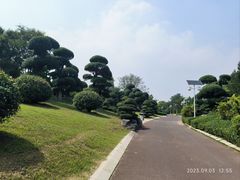 -济南国际园博园