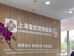 -爱侣宠医·鹦鹉专科·小型哺乳类·异宠专科(灵石路店)